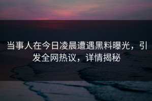 当事人在今日凌晨遭遇黑料曝光，引发全网热议，详情揭秘