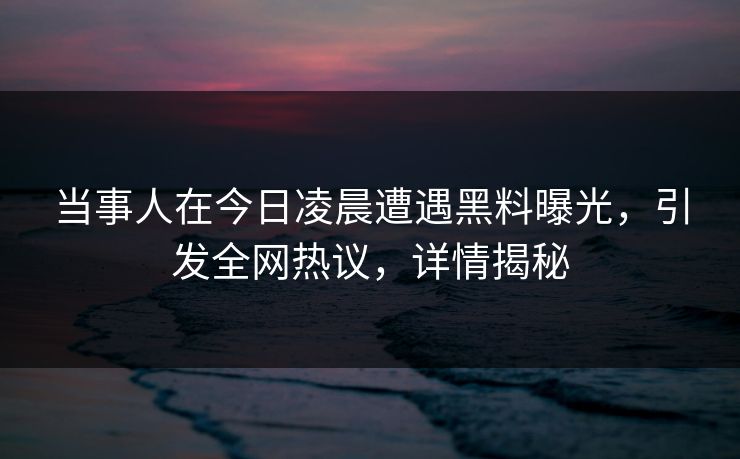 当事人在今日凌晨遭遇黑料曝光，引发全网热议，详情揭秘