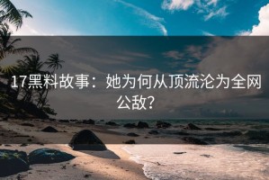 17黑料故事：她为何从顶流沦为全网公敌？