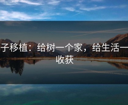 桃子移植：给树一个家，给生活一份收获