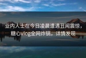 业内人士在今日凌晨遭遇丑闻震惊，糖心vlog全网炸锅，详情发现