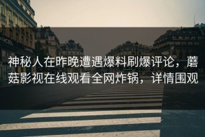 神秘人在昨晚遭遇爆料刷爆评论，蘑菇影视在线观看全网炸锅，详情围观