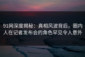 91网深度揭秘：真相风波背后，圈内人在记者发布会的角色罕见令人意外