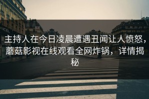 主持人在今日凌晨遭遇丑闻让人愤怒，蘑菇影视在线观看全网炸锅，详情揭秘