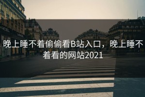 晚上睡不着偷偷看B站入口，晚上睡不着看的网站2021