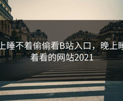 晚上睡不着偷偷看B站入口，晚上睡不着看的网站2021