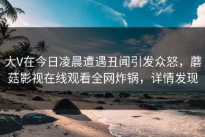 大V在今日凌晨遭遇丑闻引发众怒，蘑菇影视在线观看全网炸锅，详情发现