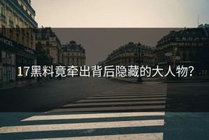 17黑料竟牵出背后隐藏的大人物？