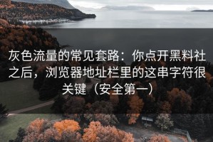 灰色流量的常见套路：你点开黑料社之后，浏览器地址栏里的这串字符很关键（安全第一）
