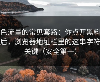 灰色流量的常见套路：你点开黑料社之后，浏览器地址栏里的这串字符很关键（安全第一）