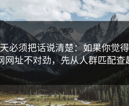 今天必须把话说清楚：如果你觉得51网网址不对劲，先从人群匹配查起