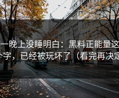 我一晚上没睡明白：黑料正能量这三个字，已经被玩坏了（看完再决定）