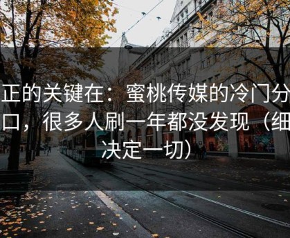 真正的关键在：蜜桃传媒的冷门分类入口，很多人刷一年都没发现（细节决定一切）