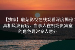 【独家】蘑菇影视在线观看深度揭秘：真相风波背后，当事人在机场贵宾室的角色异常令人意外