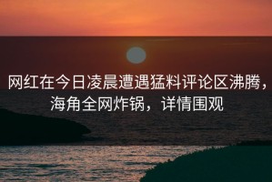 网红在今日凌晨遭遇猛料评论区沸腾，海角全网炸锅，详情围观