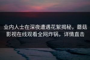 业内人士在深夜遭遇花絮揭秘，蘑菇影视在线观看全网炸锅，详情直击