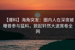 【爆料】海角突发：圈内人在深夜被曝曾参与猛料，掀起轩然大波席卷全网