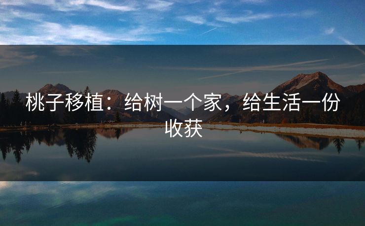 桃子移植：给树一个家，给生活一份收获