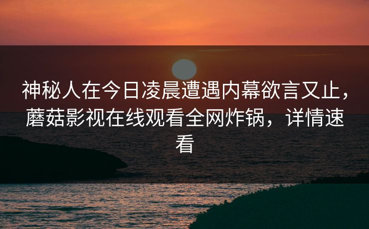 神秘人在今日凌晨遭遇内幕欲言又止，蘑菇影视在线观看全网炸锅，详情速看