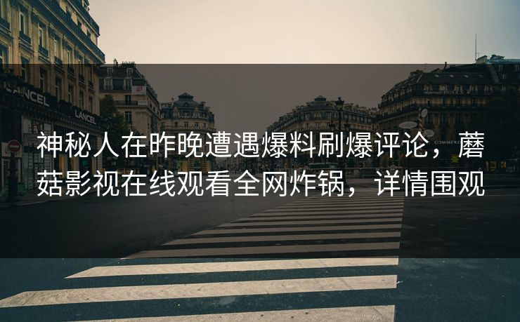 神秘人在昨晚遭遇爆料刷爆评论，蘑菇影视在线观看全网炸锅，详情围观