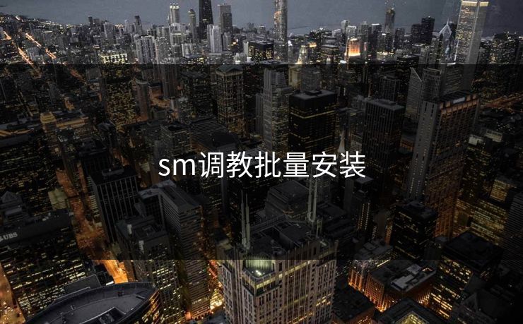 sm调教批量安装